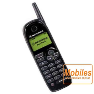 Экран для Motorola M3688 дисплей