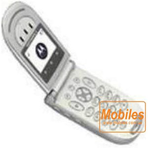 Экран для Motorola V66 дисплей