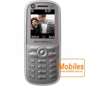 Экран для Motorola WX280 дисплей