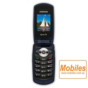 Экран для Samsung SPH-M220 дисплей