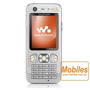 Экран для Sony Ericsson W890c дисплей