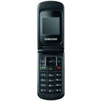 Подробнее о Экран для Samsung Guru 300 дисплей